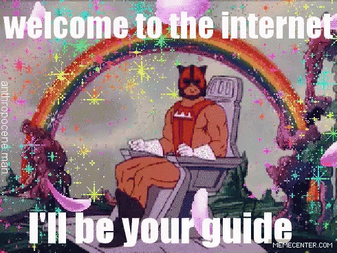 A pixellated GIF of a wrestler in a cat mask sitting in a chair, surrounded by sparkles, rainbows and falling flower petals. The gif is captioned "Welcome to the Internet, I'll be your guide"