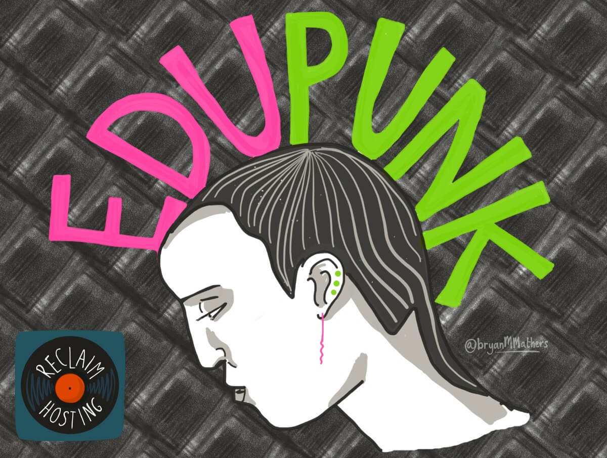Image of punk with EDUPUNK as the mohawk